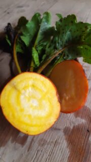 BETTERAVE GOLDEN bio 1.4€/500g