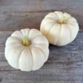 Mini Courge Baby Boo bIO - 1 unité
