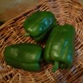 Poivrons Verts BIO- 1.5€/500g