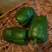 Poivrons Verts BIO- 1.5€/500g