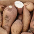Patate Douce Bonita Bio-500g