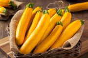 Courgette Jaune Bio - 500g