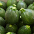 Lot de 2 courgettes rondes Bio